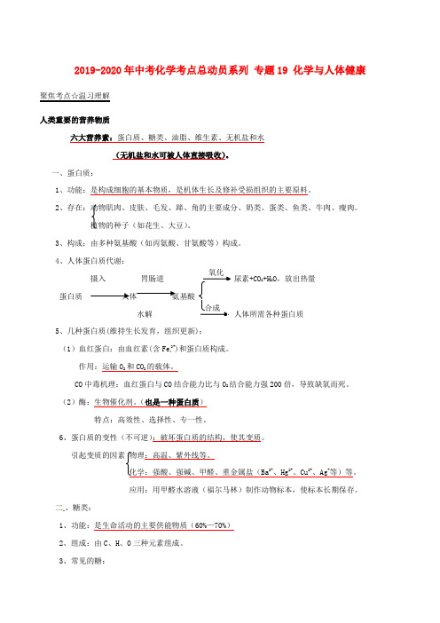 2019-2020年中考化学考点总动员系列 专题19 化学与人体健康