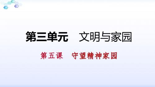 部编人教版九年级道德与法治上册5.2《凝聚价值追求》课件