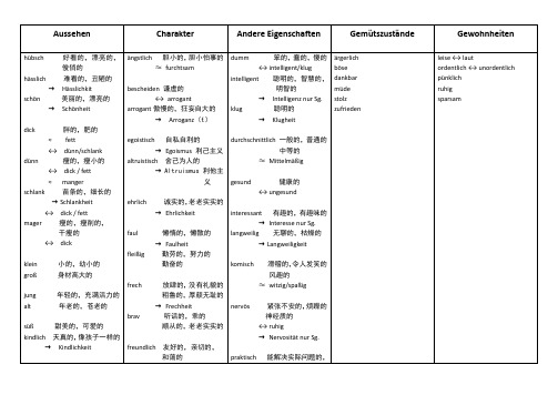 德语对人物的描写 adj.