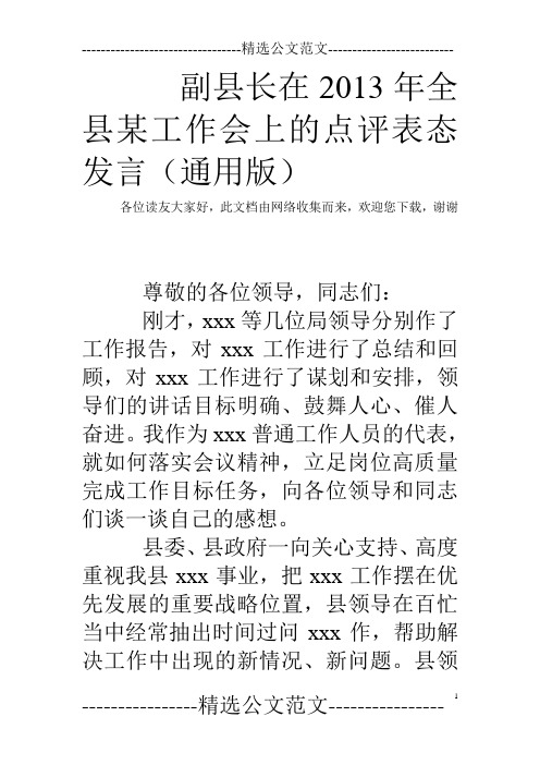 副县长在2013年全县某工作会上的点评表态发言(通用版)