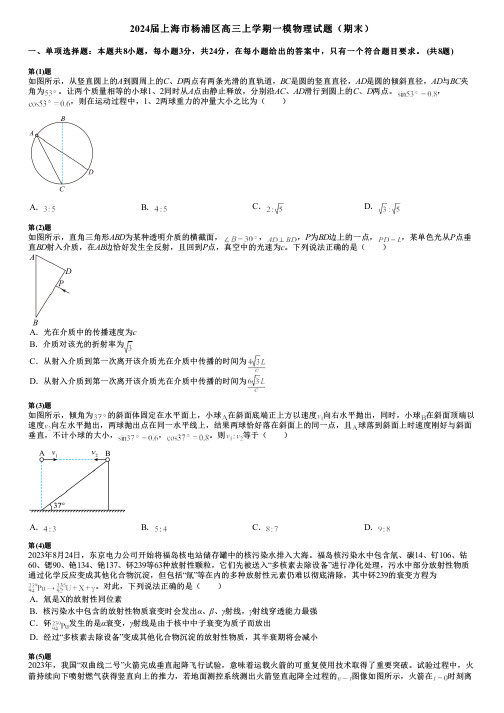 2024届上海市杨浦区高三上学期一模物理试题(期末)