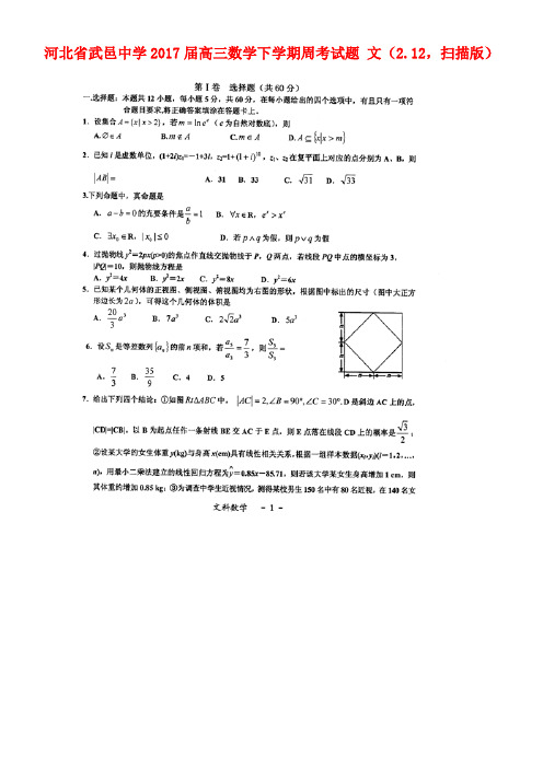 河北省武邑中学高三数学下学期周考试题文(2.12,扫描版)