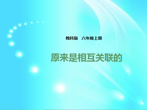 26_六年级上册科学ppt课件46《原来是相互关联的》l教科版