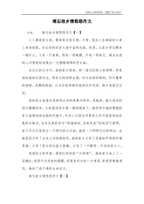 难忘故乡情悠悠作文