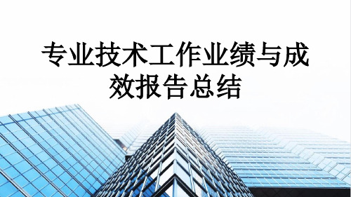 专业技术工作业绩与成效报告总结