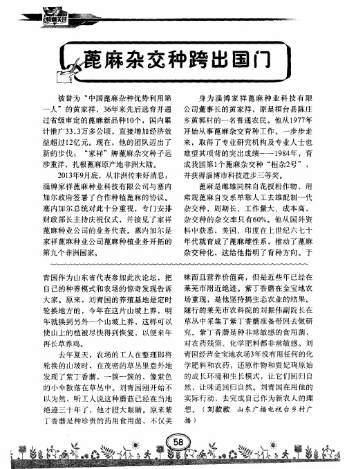 蓖麻杂交种跨出国门