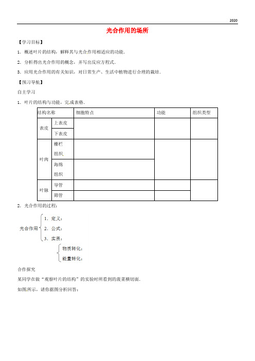 2020八年级生物上册 3.3.3光合作用的场所学案(无答案)(新版)冀教版