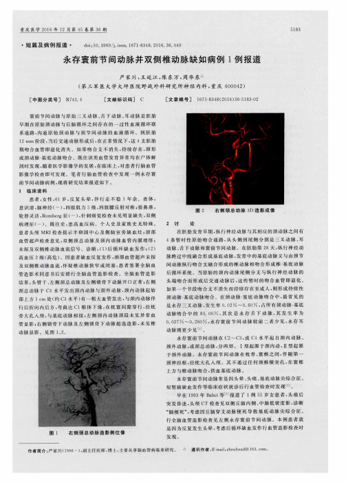 永存寰前节间动脉并双侧椎动脉缺如病例1例报道