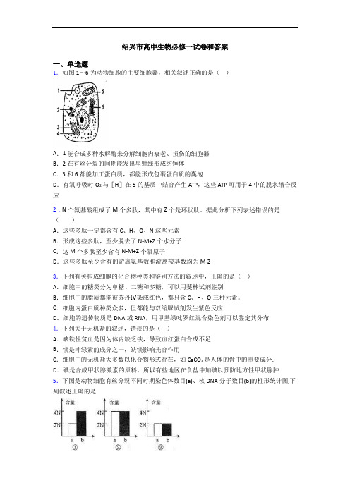 绍兴市高中生物必修一试卷和答案