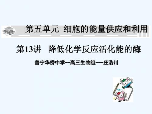 必修考点降低化学反应活化能的酶