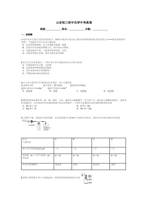 山东初三初中化学中考真卷带答案解析
