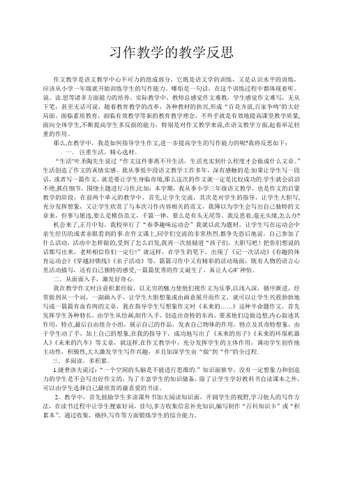 习作教学的教学反思