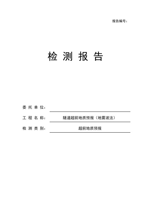 隧道隧道超前地质预报模拟报告(地震波法)