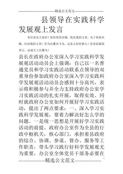 县领导在实践科学发展观上发言_0