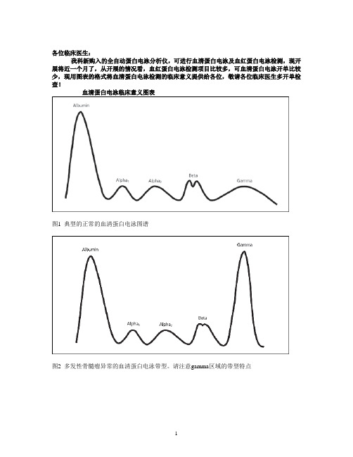 血清电泳临床意义图标