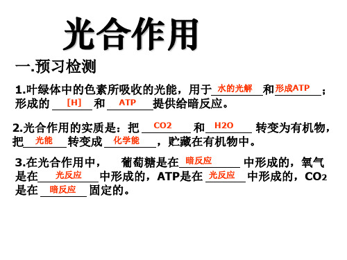 一轮复习光合作用和细胞呼吸(共27张PPT)