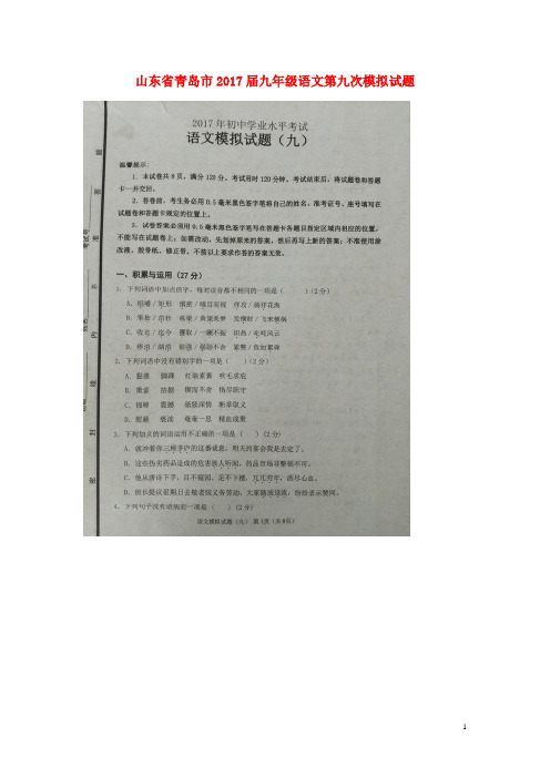 山东省青岛市2017届九年级语文第九次模拟试题 精