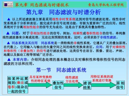 第九章  同态滤波与时谱技术