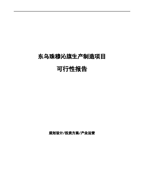 东乌珠穆沁旗项目可行性报告(立项申请)