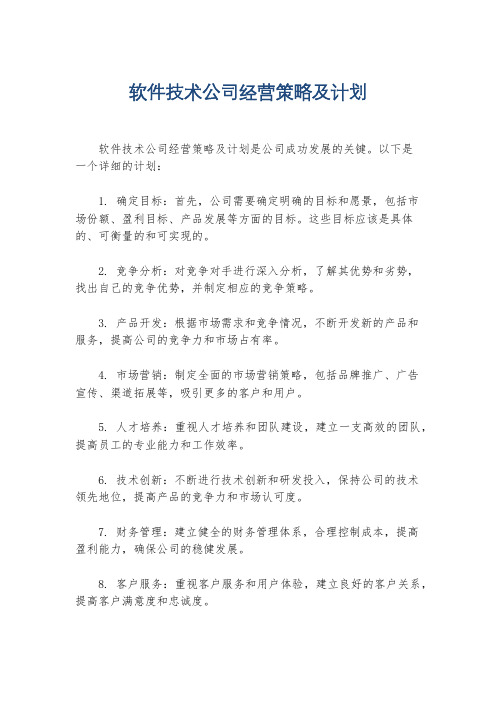 软件技术公司经营策略及计划