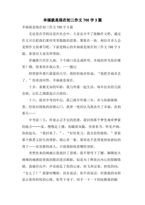 幸福就是现在初三作文700字3篇