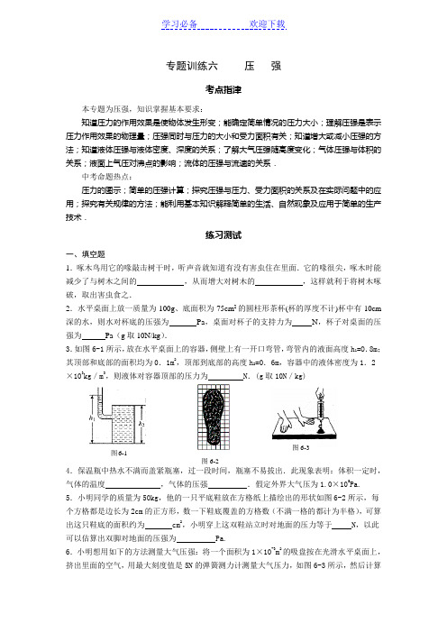 中考物理压强专题训练及答案