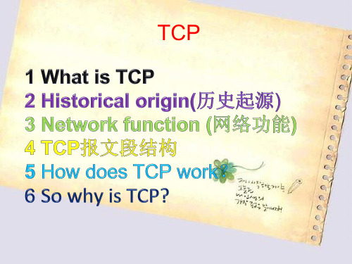 tcp协议介绍(英文)