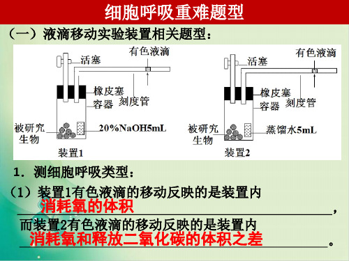 细胞呼吸重难点题型