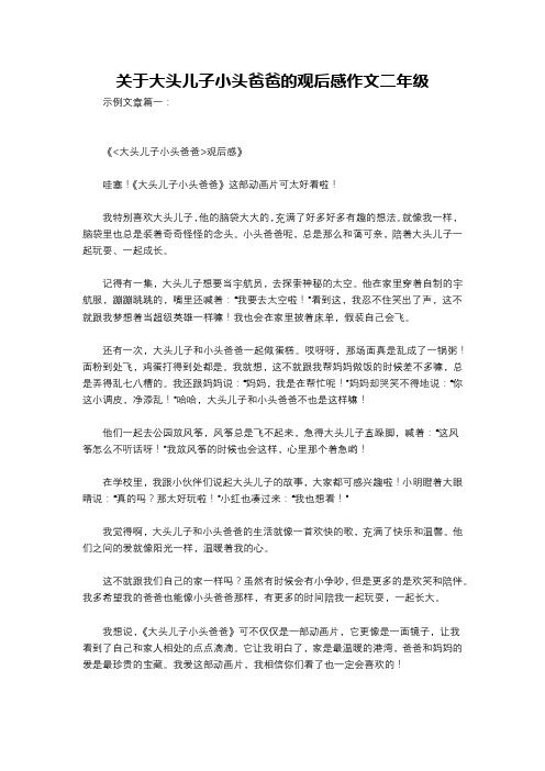 关于大头儿子小头爸爸的观后感作文二年级