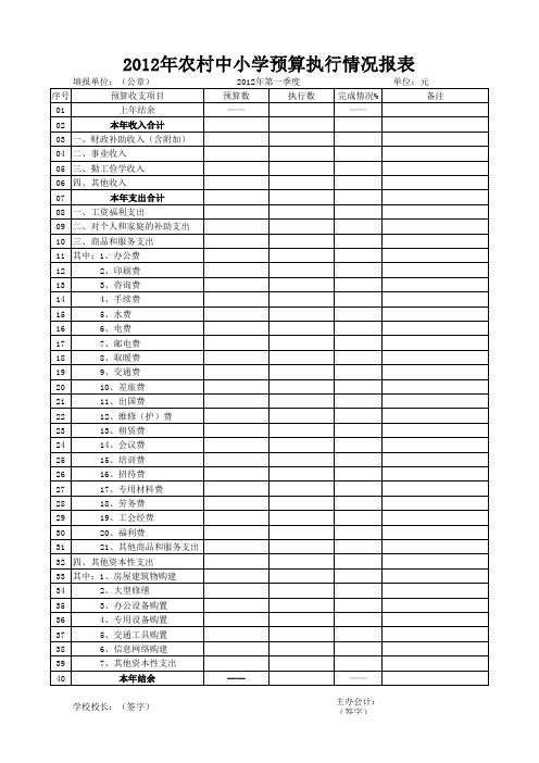 预算执行情况报表--样表