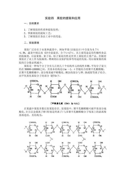 实验C果胶提取