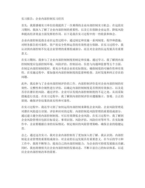 企业内部控制实习报告