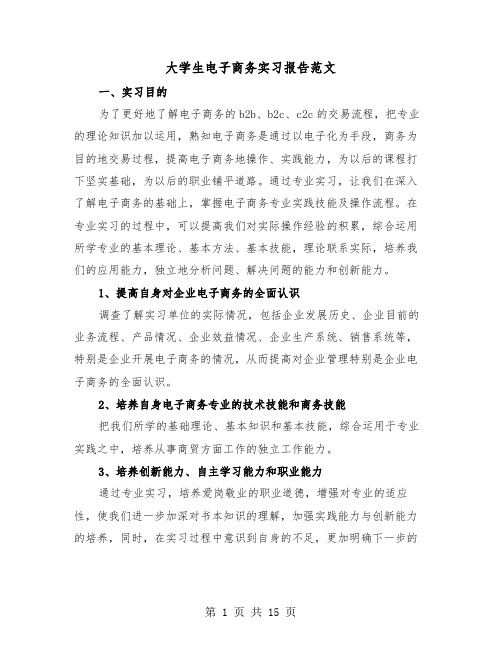 大学生电子商务实习报告范文(三篇)