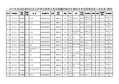 2013年自治区面向社会公开考试录用公务员南疆四地州乡镇