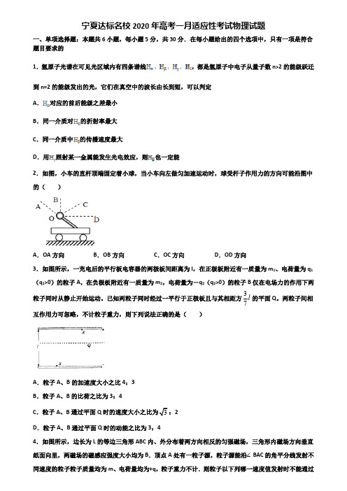 宁夏达标名校2020年高考一月适应性考试物理试题含解析