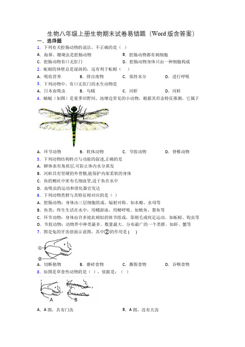 生物八年级上册生物期末试卷易错题(Word版含答案)[028]