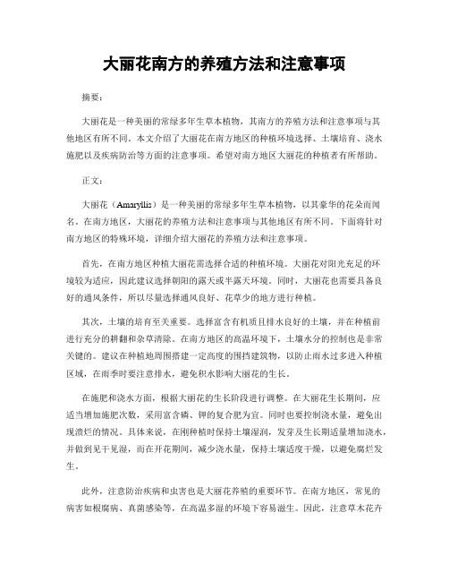 大丽花南方的养殖方法和注意事项