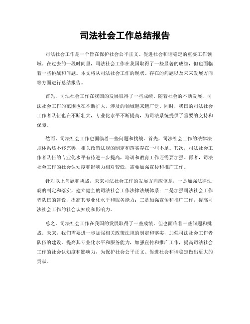 司法社会工作总结报告