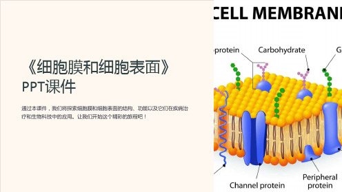 《细胞膜和细胞表面》课件