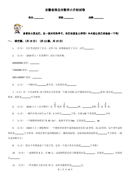 安徽省淮北市数学小升初试卷