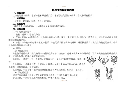 花的解剖实验报告