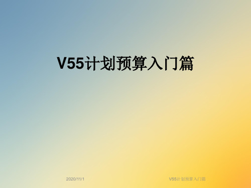 V55计划预算入门篇