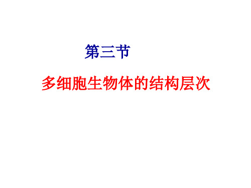 济南版七年级生物上册1.2.3多细胞生物体的结构层次 课件