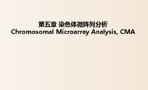 【培训课件-临床基因组学】_第五章 染色体微阵列分析-MYX-广州医学大学