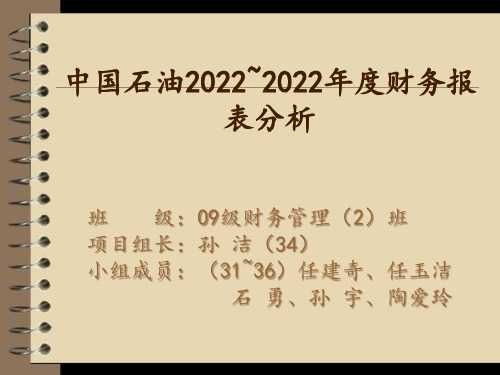 中国石油财务报表分析