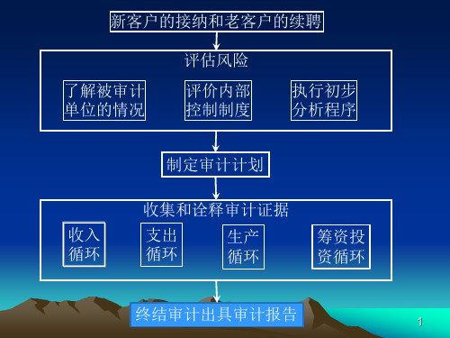 3_终结审计(PPT36页)