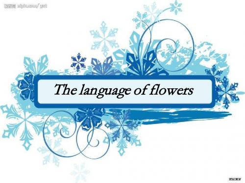 the language of flower