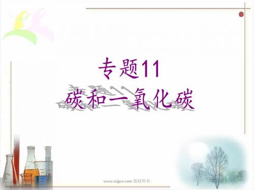 广东省中山市马新中学人教版2016年初中化学中考专题复习课件 专题