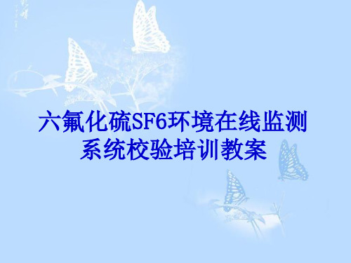 JLK-2004型六氟化硫SF6环境在线监测系统校验培训教案