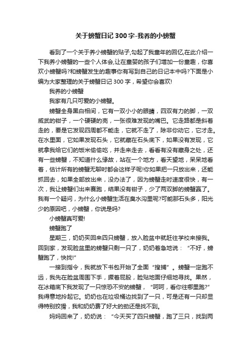 关于螃蟹日记300字-我养的小螃蟹